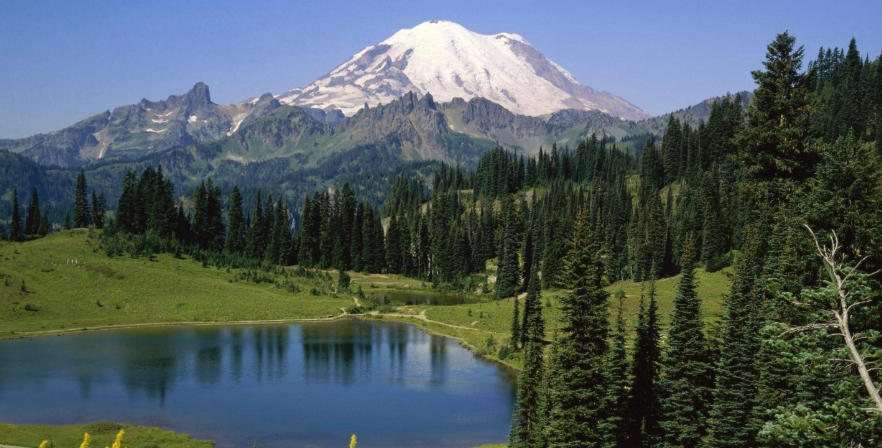 天津天禹魔术文化传播公司轮播图2